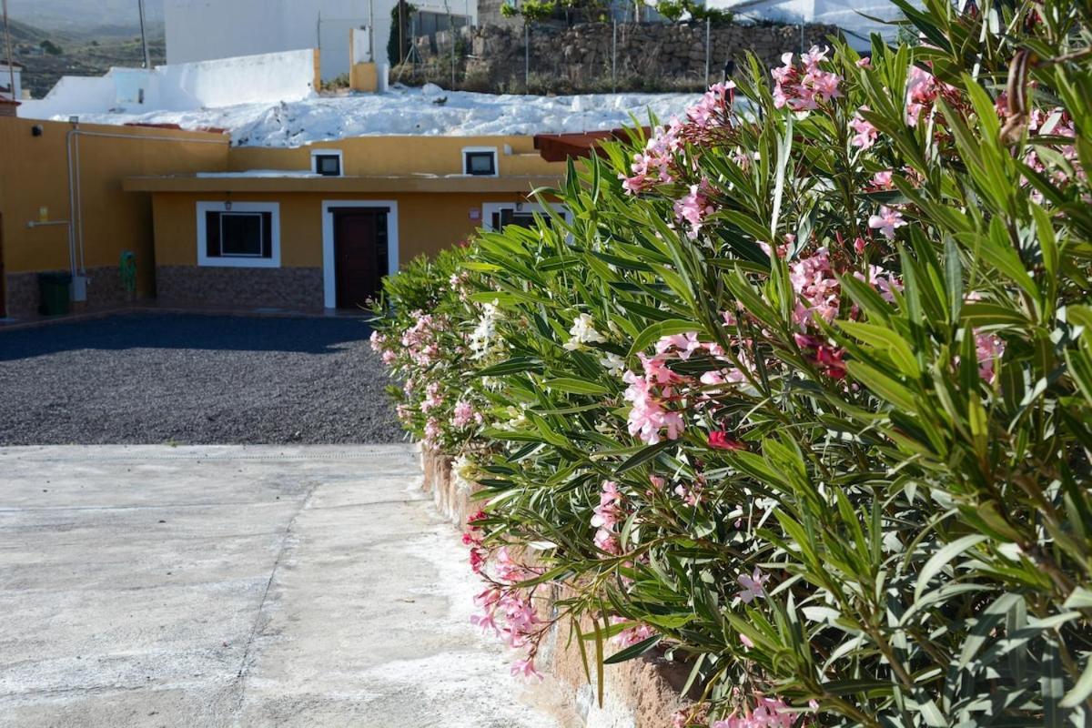 Casa Cueva Los Mansos ซานตาครูซ เด เตเนริเฟ ภายนอก รูปภาพ